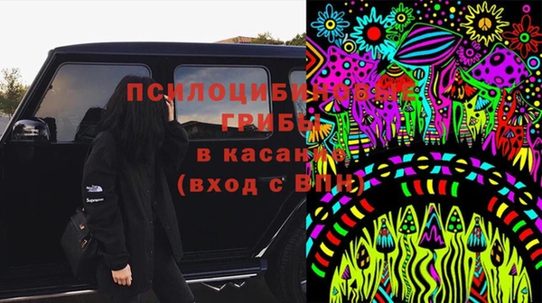 индика Арсеньев