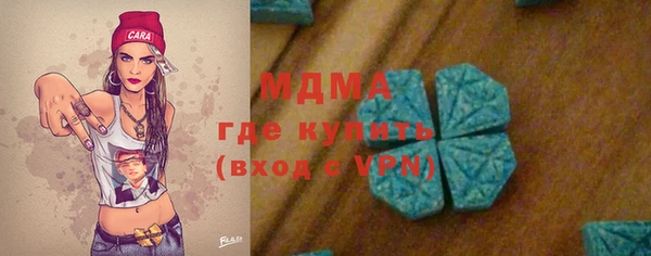 индика Арсеньев