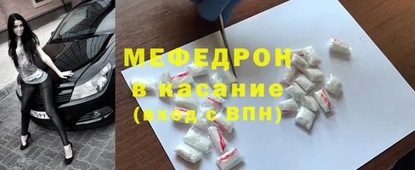 индика Арсеньев