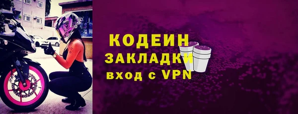 индика Арсеньев