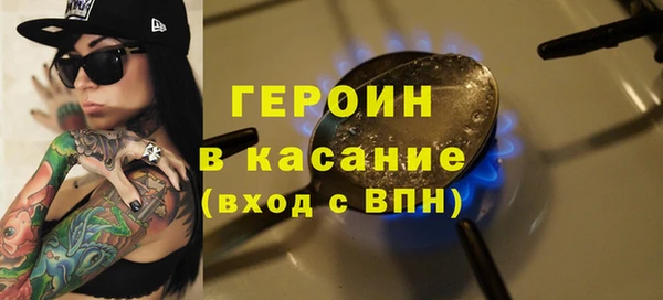 индика Арсеньев