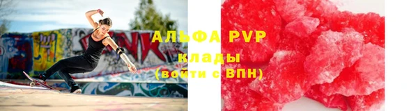 индика Арсеньев