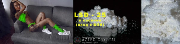 индика Арсеньев