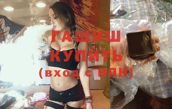 индика Арсеньев