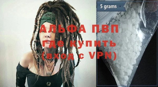 индика Арсеньев