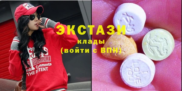 индика Арсеньев
