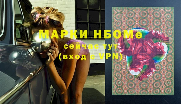 индика Арсеньев
