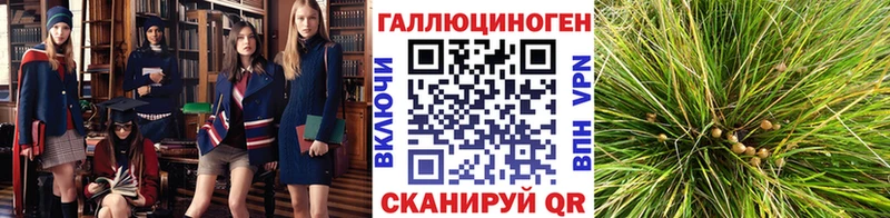 Псилоцибиновые грибы Psilocybine cubensis  купить наркотик  Таруса 
